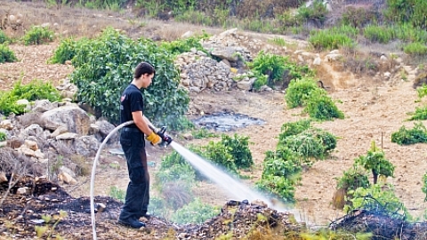 f0_0443_0317_MG2835 (1).jpg