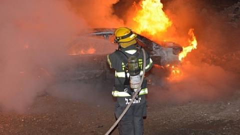 f0_0443_0317_cyboy1 (1).jpg